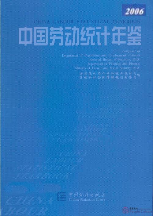 China Labour Statistical Yearbook 2006
7503750537