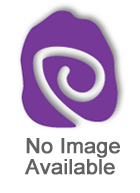 Copyright in China
9787119029313