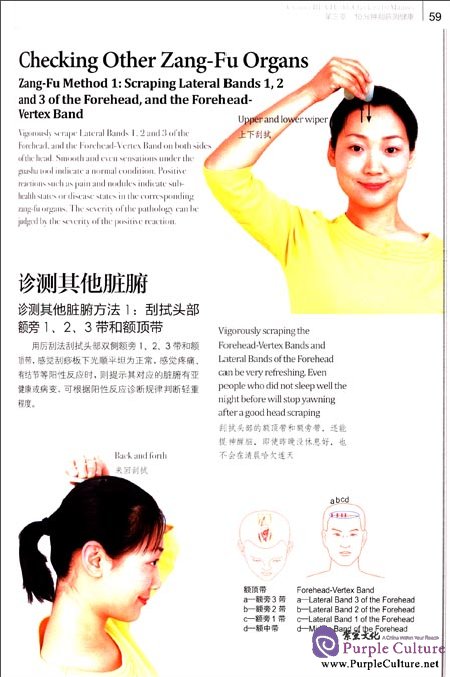 Sample pages of An Illustrated Guide To Guasha Therapy (ISBN:9787200093704)