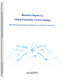 Research Report on Global Electricity-Carbon Market