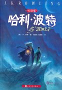 Harry Potter and the Half-Blood Prince (Chinese Version)