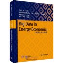 Big Data in Energy Economics