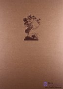 Chinese Furniture A Series of Examples from Collections in France