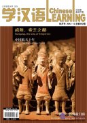 Learning Chinese Journal