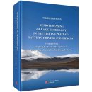 Remote Sensing of Lake Hydrology in the Tibetan Plateau: Pattern, Drivers and Impacts