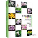 Higher Plants of China in Colour Vol VI Angiosperms Diapensiacae-Solanaceae