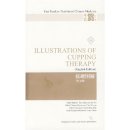 Fast Track to Traditional Chinese Medicine: Illustrations of Tongue Diagnosis