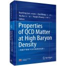 Properties of QCD Matter at High Baryon Density