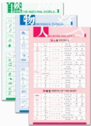 Wall Chart Of Chinese Character Building Blocks