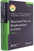 Illustrated Flora of Bambusoideae in China (Volume1)