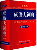 Dictionary of Idioms (Colorful Edition)