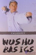 Wushu Basics
