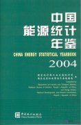 China Energy Statistical Yearbook 2004