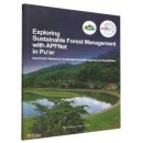 Exploring Sustainable Forest Management with APFNet in Pu'er