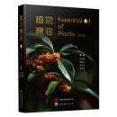 Essential Oil of Plants