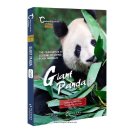 Giant Panda, the Century-old Legend of Living Fossi