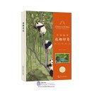 Chinese Cities: Chengdu Impressions