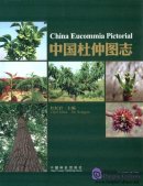 China Pictorial Eucommia