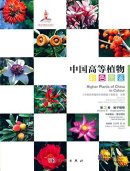 Higher Plants of China in Colour Vol III Angiosperms Casuarinaceae-Hernandiaceae
