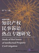 Study of Hot Issues of Intellectual Property Civil Litigation