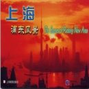 The Scenes of Pudong New Area