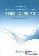 China County (City) Economic Statistical Yearbook 2011