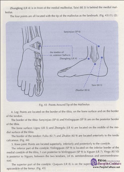 Sample pages of The Way to Locate Acupoints (ISBN:9787119059976)