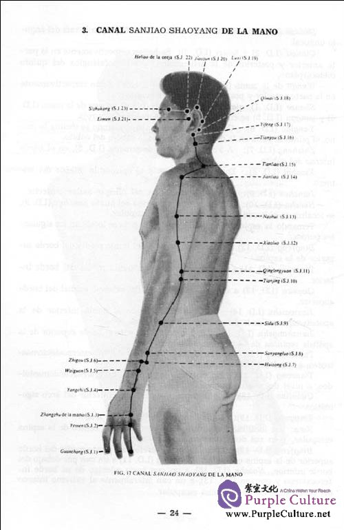 Sample pages of Localización de los Puntos Acupunturales (ISBN:9787119014784)