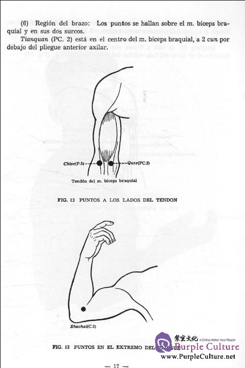 Sample pages of Localización de los Puntos Acupunturales (ISBN:9787119014784)