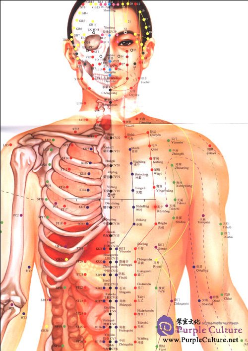 Sample pages of Latest National Standards Chart of Acupuncture Points (ISBN:9787509140994)