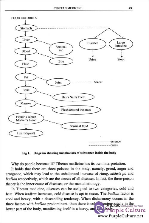 Sample pages of China's Tibetan Medicine (ISBN:9787119033501,7119033506)