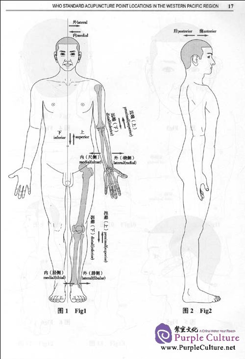 Sample pages of WHO Standard Acupuncture Point Locations in The Western Pacific Region (ISBN:9787117123327)