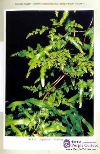 Sample pages of Chinese-English Common Chinese Medicinal Herbs of Macao (Volume 1) (ISBN:9787535942067)