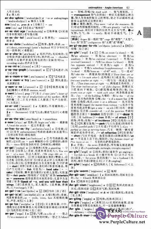 Sample pages of A New English-Chinese Dictionary (ISBN:9787801037091,780103709X)