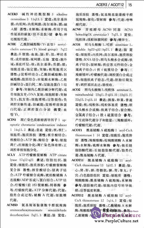 Sample pages of English-Chinese Dictionary of Human Gene (ISBN:7117138726,9787117138727)