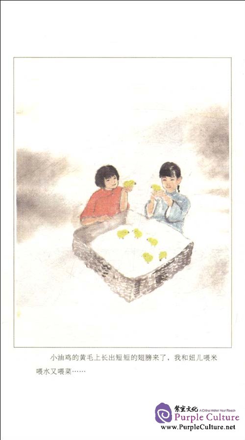 Sample pages of Memories of Peking: South Side Stories (ISBN:754471666X,9787544716666)