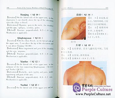 Sample pages of Colour Illustration of Acupoints (ISBN:780156071X, 9787801560711)