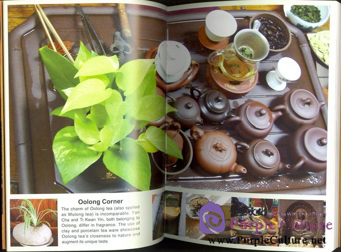 Sample pages of Oolong Tea (ISBN:9787508517445)