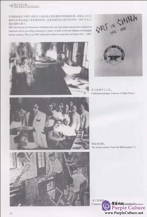 Sample pages of The Jews In Shanghai (ISBN:9787806855027)