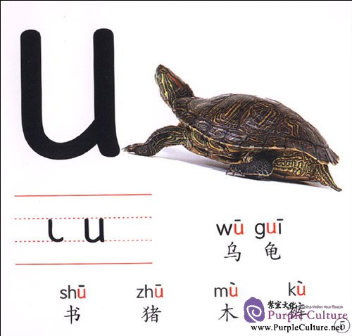 Sample pages of Pinyin Cards (ISBN:9787572801242 )