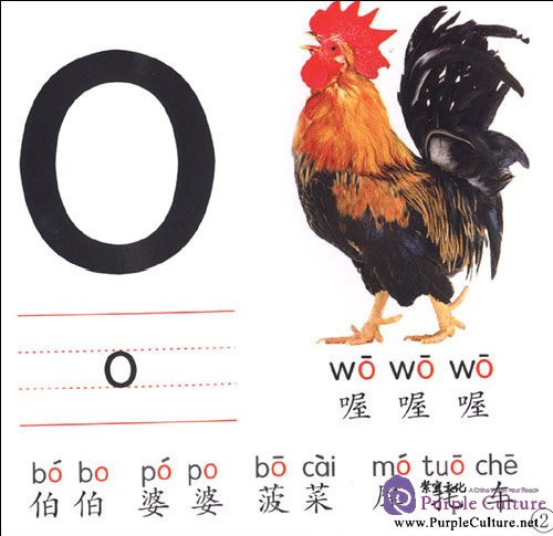 Sample pages of Pinyin Cards (ISBN:9787572801242 )