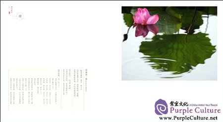 Sample pages of Lotus Meditation (ISBN:9787119078946)