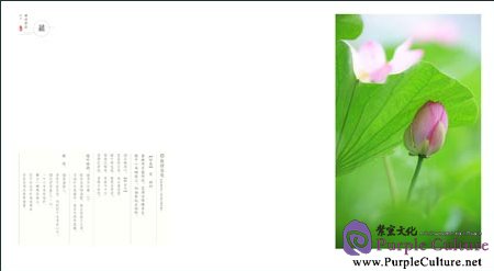 Sample pages of Lotus Meditation (ISBN:9787119078946)