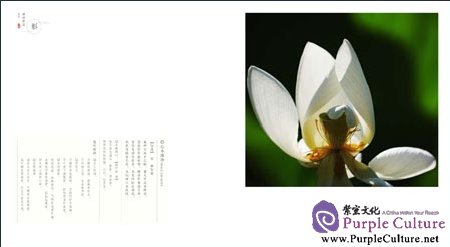 Sample pages of Lotus Meditation (ISBN:9787119078946)
