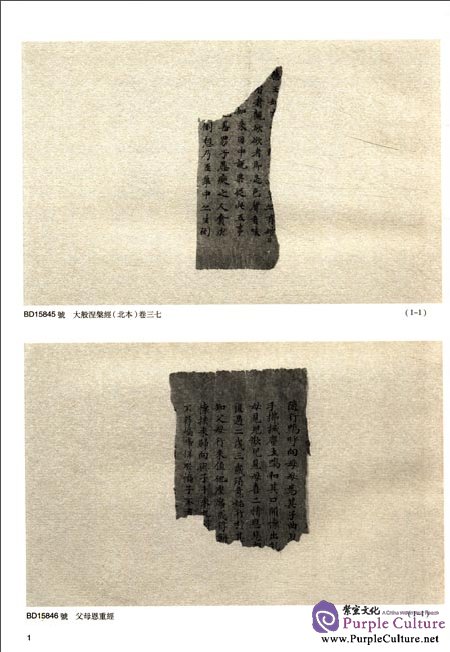 Sample pages of Dunhuang Literature in National Library Section 145 (ISBN:9787501337071)