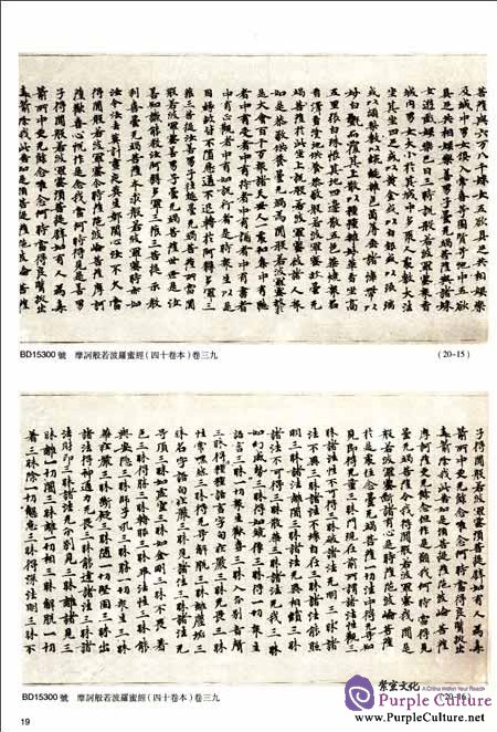 Sample pages of Dunhuang Literature in National Library Section 142 (ISBN:9787501337040)