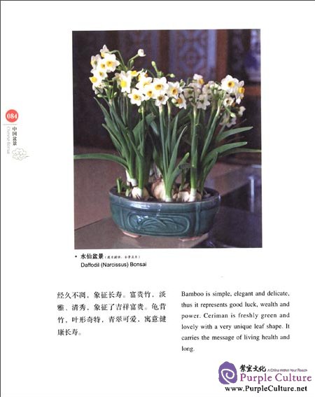 Sample pages of Chinese Red: Chinese Bonsai (ISBN:9787546134222)