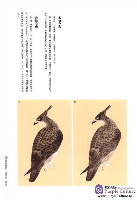 Sample pages of Chinese Painting in the Imperial Palace: Flowers and Birds Volume: Eagle (ISBN:9787513403306)