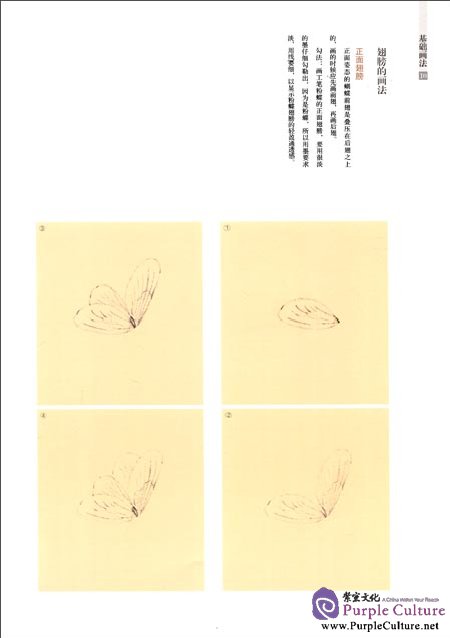 Sample pages of Chinese Painting in the Imperial Palace: Flowers and Birds Volume: Butterfly (ISBN:9787513403245)