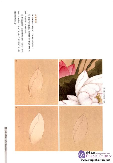 Sample pages of Chinese Painting in the Imperial Palace: Flowers and Birds Volume: Lotus (ISBN:9787513403269)